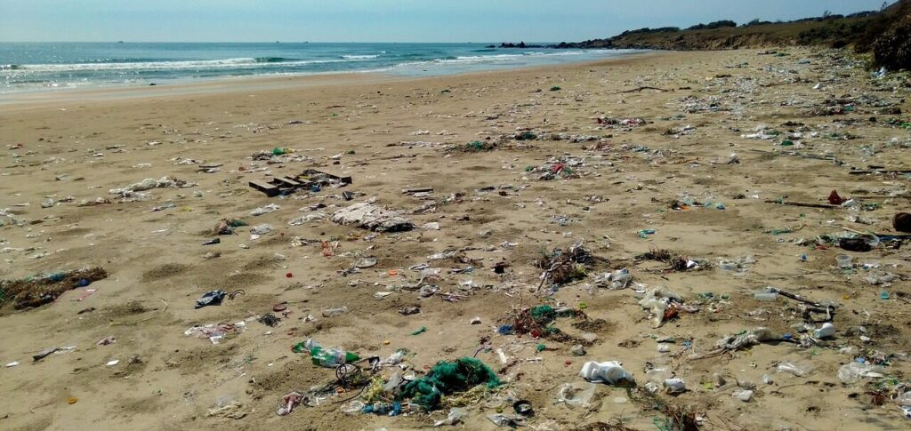 pollution, trash, garbage, ocean, plastic, waste, environment, beach, tropics, vietnam, muine, southeast asia, sea, conservation, environmentalism, cleanup, dump, environmental, rubbish, litter, dirty, damage, nature, coastline, problem, recycle, brown pollution
