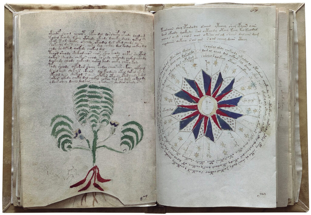 Paginas del El manuscrito Voynich